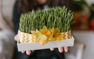 regalos promocionales personalizados y sostenibles